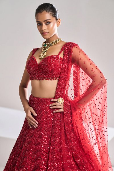 Red Leaf Lehenga Set