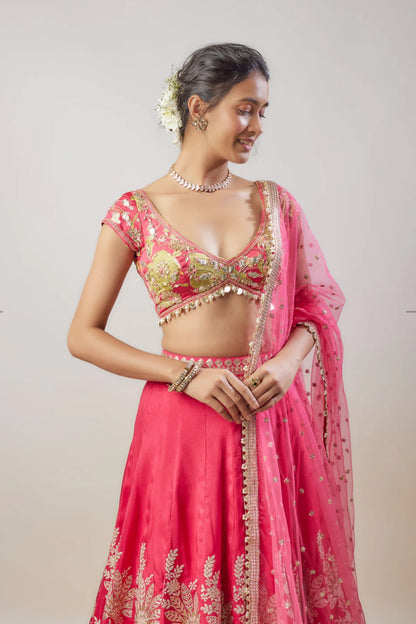 Alaya Lehenga Set