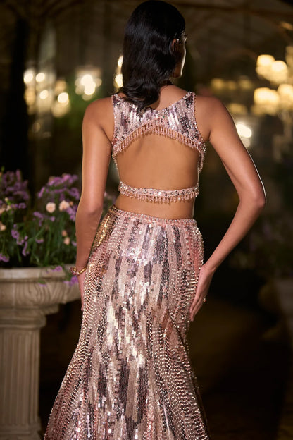 Rose Gold Fit & Flare Skirt Set