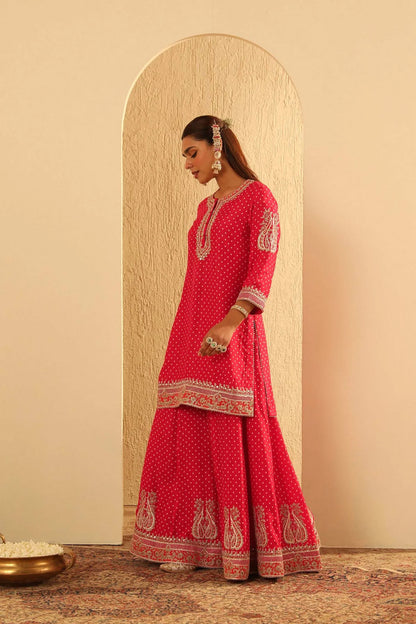 Hoorain - Kurta With Sharara And Dupatta