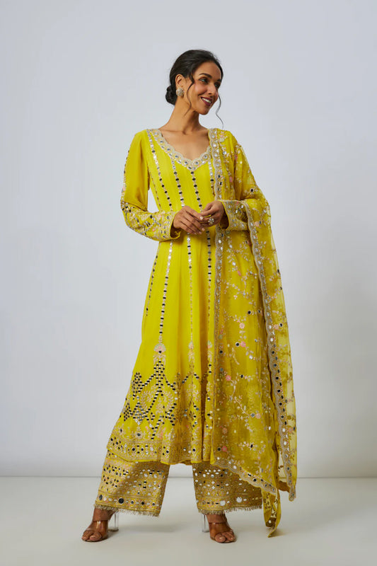 Cheshtha Anarkali Set