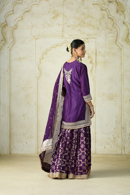 Ameena Sharara Set
