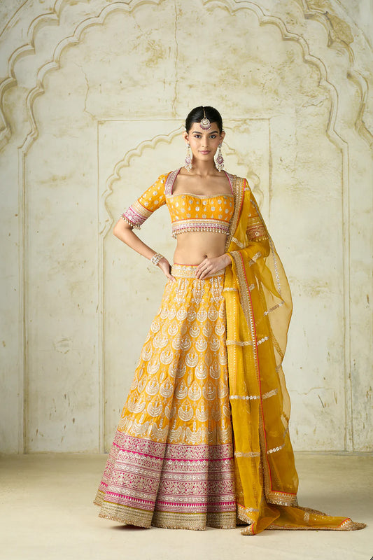 Haseena Lehenga Set