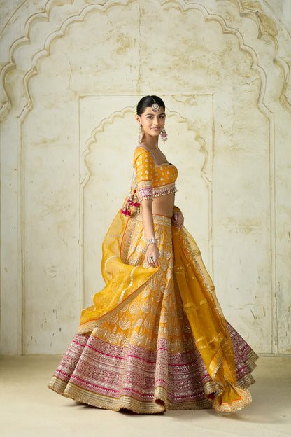Haseena Lehenga Set