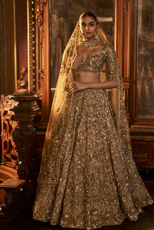 Antique Gold Tissue Lehenga Set