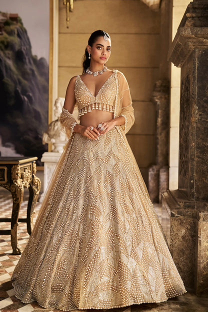 Nude Pearl Lehenga Set