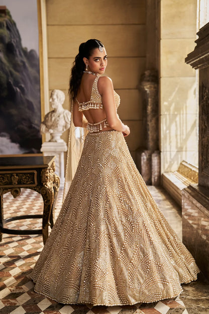Nude Pearl Lehenga Set