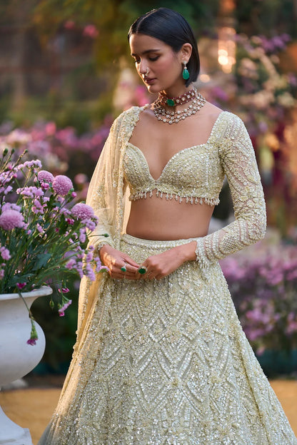 Sage Green Sequin Lehenga Set