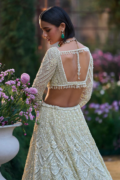 Sage Green Sequin Lehenga Set