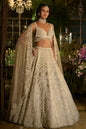 Champagne Pearl Lehenga Set