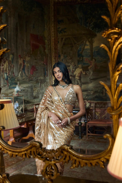 Gold Mirror Work Saree