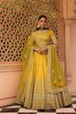 Uzma - Mustard Lehenga with Blouse and Dupatta